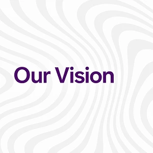 Our Vision